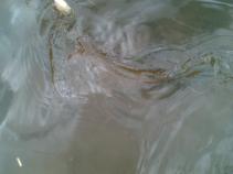 foto/diskuze/usti_nad_labem/2010/th-img38876.jpg