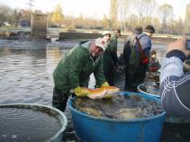 foto/diskuze/usti_nad_labem/2010/th-img39621.jpg