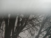 foto/diskuze/usti_nad_labem/2010/th-img39841.jpg