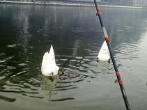 foto/diskuze/usti_nad_labem/2011/th-img40042.jpg