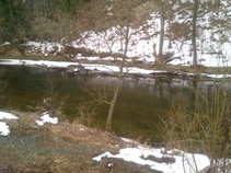 foto/diskuze/usti_nad_labem/2011/th-img41190.jpg