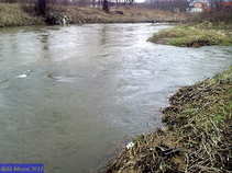 foto/diskuze/usti_nad_labem/2011/th-img41334.jpg