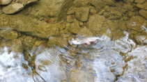 foto/diskuze/usti_nad_labem/2011/th-img41930.jpg
