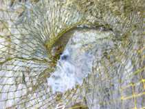 foto/diskuze/usti_nad_labem/2011/th-img41988.jpg