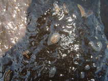 foto/diskuze/usti_nad_labem/2011/th-img42222.jpg