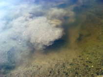 foto/diskuze/usti_nad_labem/2011/th-img42223.jpg