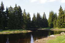 foto/diskuze/usti_nad_labem/2011/th-img42579.jpg
