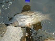 foto/diskuze/usti_nad_labem/2011/th-img42678.jpg