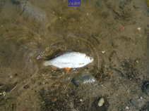 foto/diskuze/usti_nad_labem/2011/th-img42679.jpg