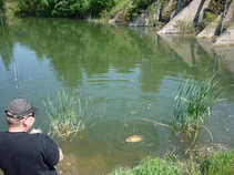 foto/diskuze/usti_nad_labem/2011/th-img42954.jpg