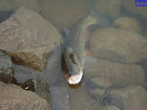 foto/diskuze/usti_nad_labem/2011/th-img43429.jpg