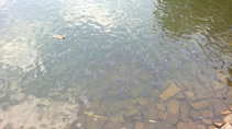 foto/diskuze/usti_nad_labem/2011/th-img44501.jpg