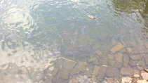 foto/diskuze/usti_nad_labem/2011/th-img44502.jpg