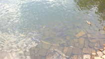 foto/diskuze/usti_nad_labem/2011/th-img44503.jpg