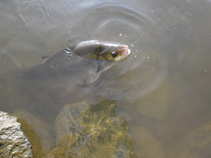 foto/diskuze/usti_nad_labem/2011/th-img44571.jpg