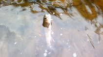 foto/diskuze/usti_nad_labem/2011/th-img44720.jpg