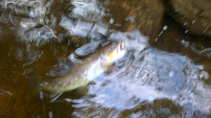 foto/diskuze/usti_nad_labem/2011/th-img44725.jpg