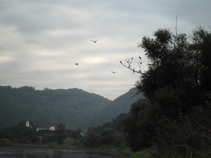 foto/diskuze/usti_nad_labem/2011/th-img44851.jpg