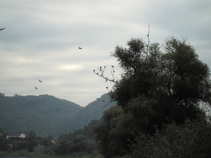 foto/diskuze/usti_nad_labem/2011/th-img44852.jpg