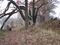 foto/diskuze/usti_nad_labem/2011/th-img45949.jpg