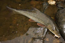 foto/diskuze/usti_nad_labem/2011/th-img46207.jpg