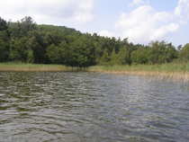 foto/diskuze/usti_nad_labem/2011/th-img46365.jpg