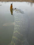 foto/diskuze/usti_nad_labem/2012/th-img46646.jpg