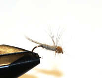 foto/diskuze/usti_nad_labem/2012/th-img46650.jpg