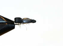 foto/diskuze/usti_nad_labem/2012/th-img46652.jpg