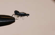 foto/diskuze/usti_nad_labem/2012/th-img46653.jpg