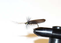 foto/diskuze/usti_nad_labem/2012/th-img46693.jpg