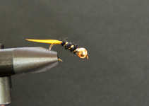 foto/diskuze/usti_nad_labem/2012/th-img46827.jpg