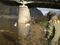 foto/diskuze/usti_nad_labem/2012/th-img46856.jpg