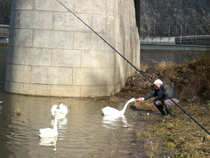 foto/diskuze/usti_nad_labem/2012/th-img46857.jpg