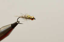foto/diskuze/usti_nad_labem/2012/th-img46865.jpg