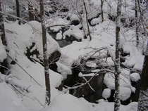 foto/diskuze/usti_nad_labem/2012/th-img46956.jpg