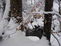 foto/diskuze/usti_nad_labem/2012/th-img46957.jpg