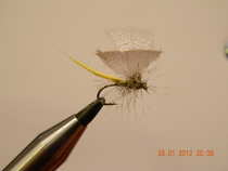 foto/diskuze/usti_nad_labem/2012/th-img47005.jpg