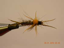 foto/diskuze/usti_nad_labem/2012/th-img47006.jpg