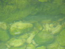 foto/diskuze/usti_nad_labem/2012/th-img48614.jpg
