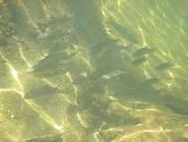 foto/diskuze/usti_nad_labem/2012/th-img48734.jpg
