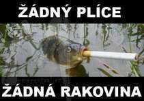foto/diskuze/usti_nad_labem/2012/th-img48945.jpg