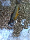 foto/diskuze/usti_nad_labem/2012/th-img48990.jpg