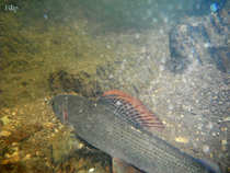foto/diskuze/usti_nad_labem/2012/th-img49017.jpg