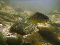 foto/diskuze/usti_nad_labem/2012/th-img49019.jpg