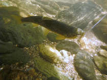 foto/diskuze/usti_nad_labem/2012/th-img49020.jpg