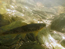 foto/diskuze/usti_nad_labem/2012/th-img49021.jpg