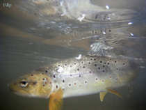 foto/diskuze/usti_nad_labem/2012/th-img49023.jpg