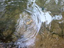 foto/diskuze/usti_nad_labem/2012/th-img49044.jpg