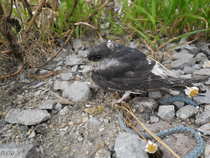 foto/diskuze/usti_nad_labem/2012/th-img49760.jpg